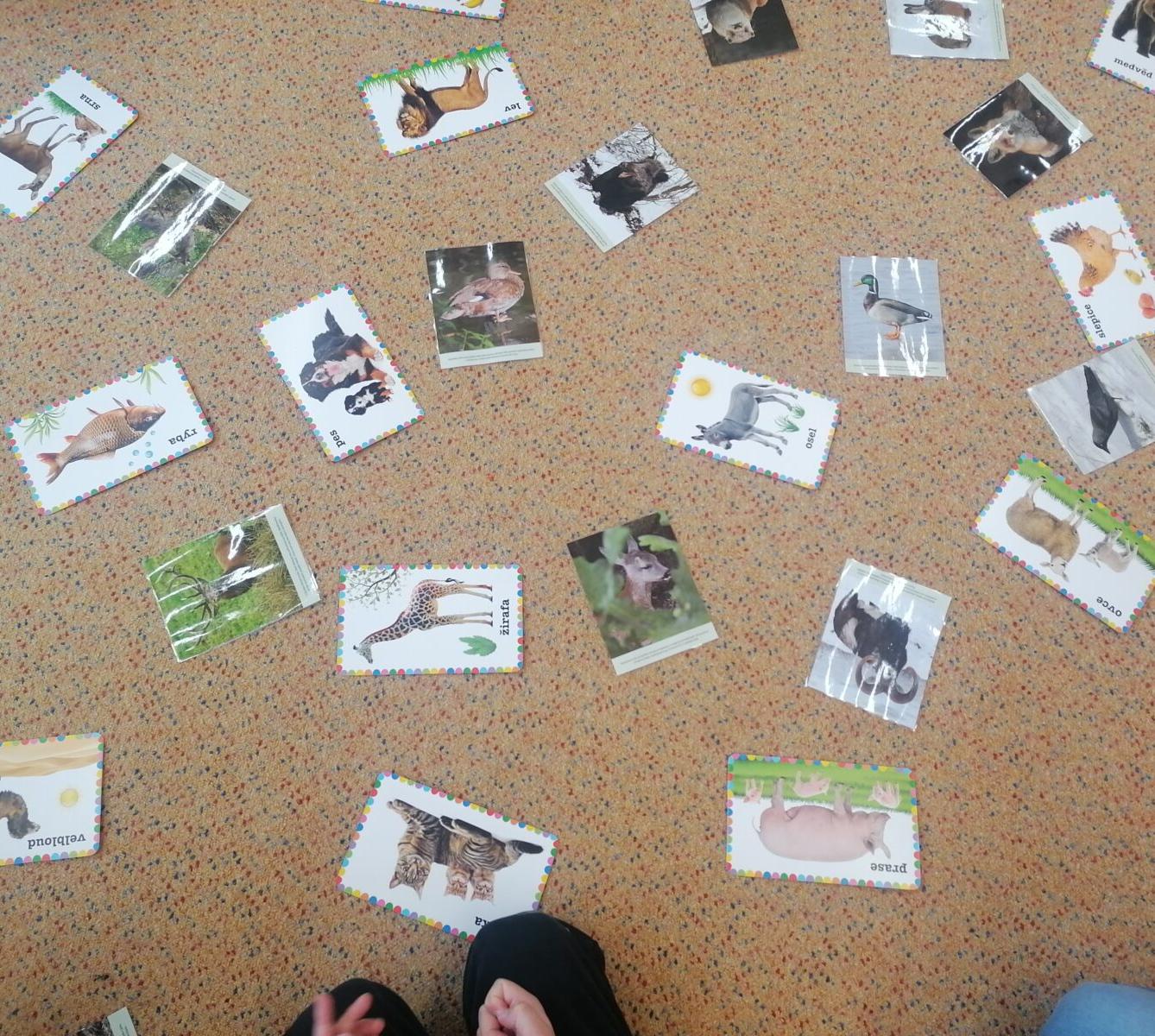 "Máme rádi zvířata" :-) - 13