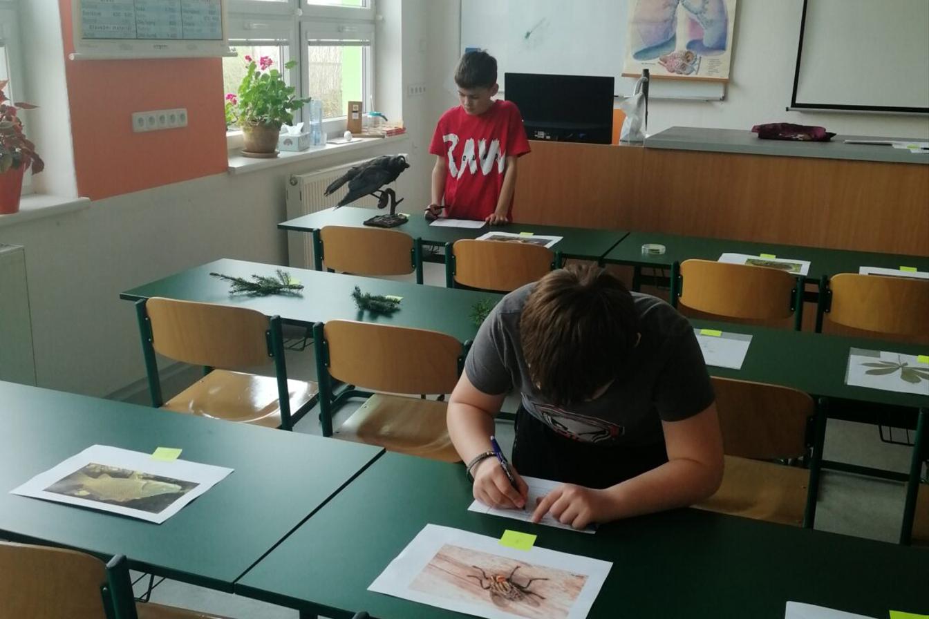 Školní kolo v Poznávání přírodnin a minerálů