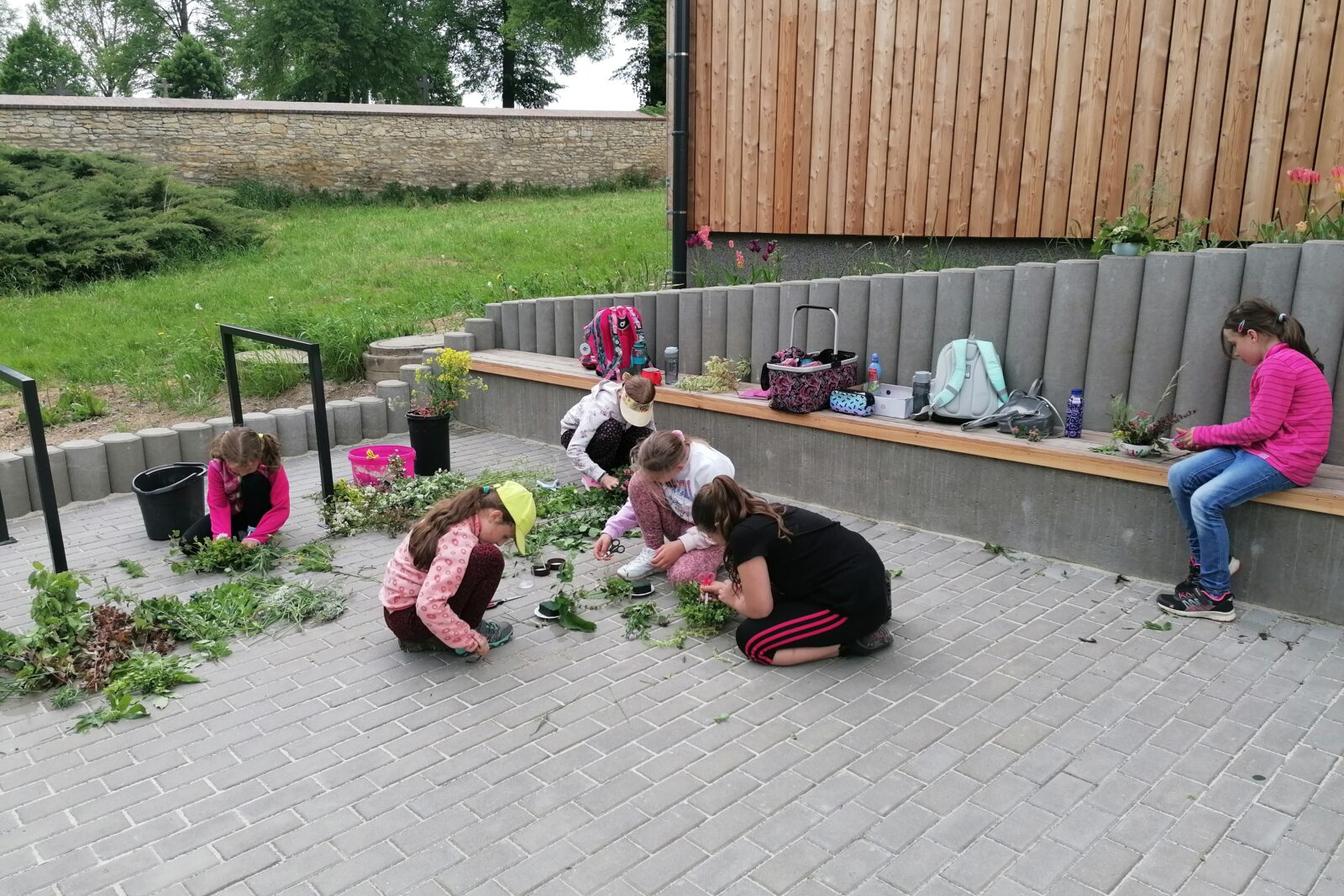 Aranžování živých květů