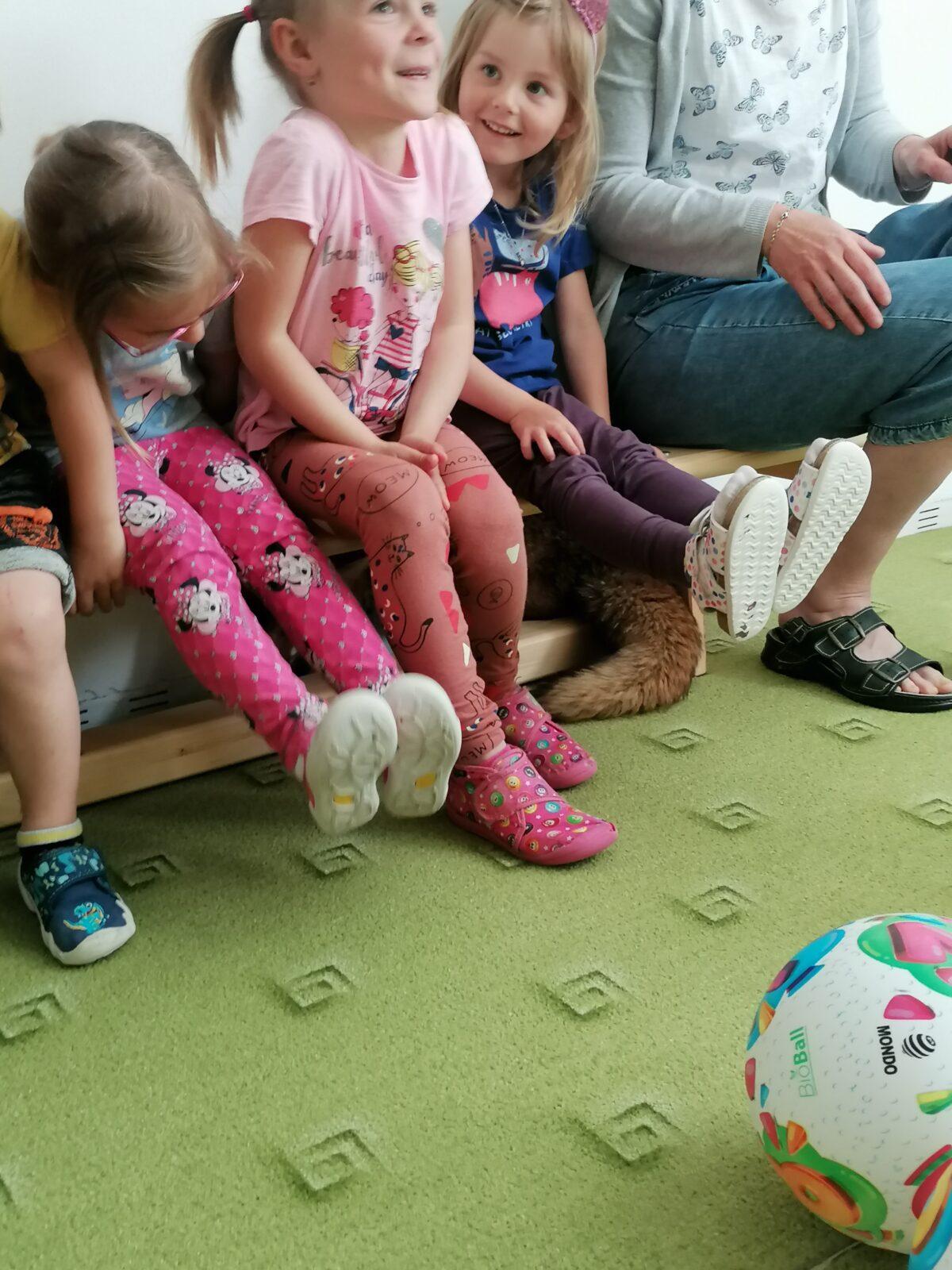 Liška COCO v MŠ :-) - 26