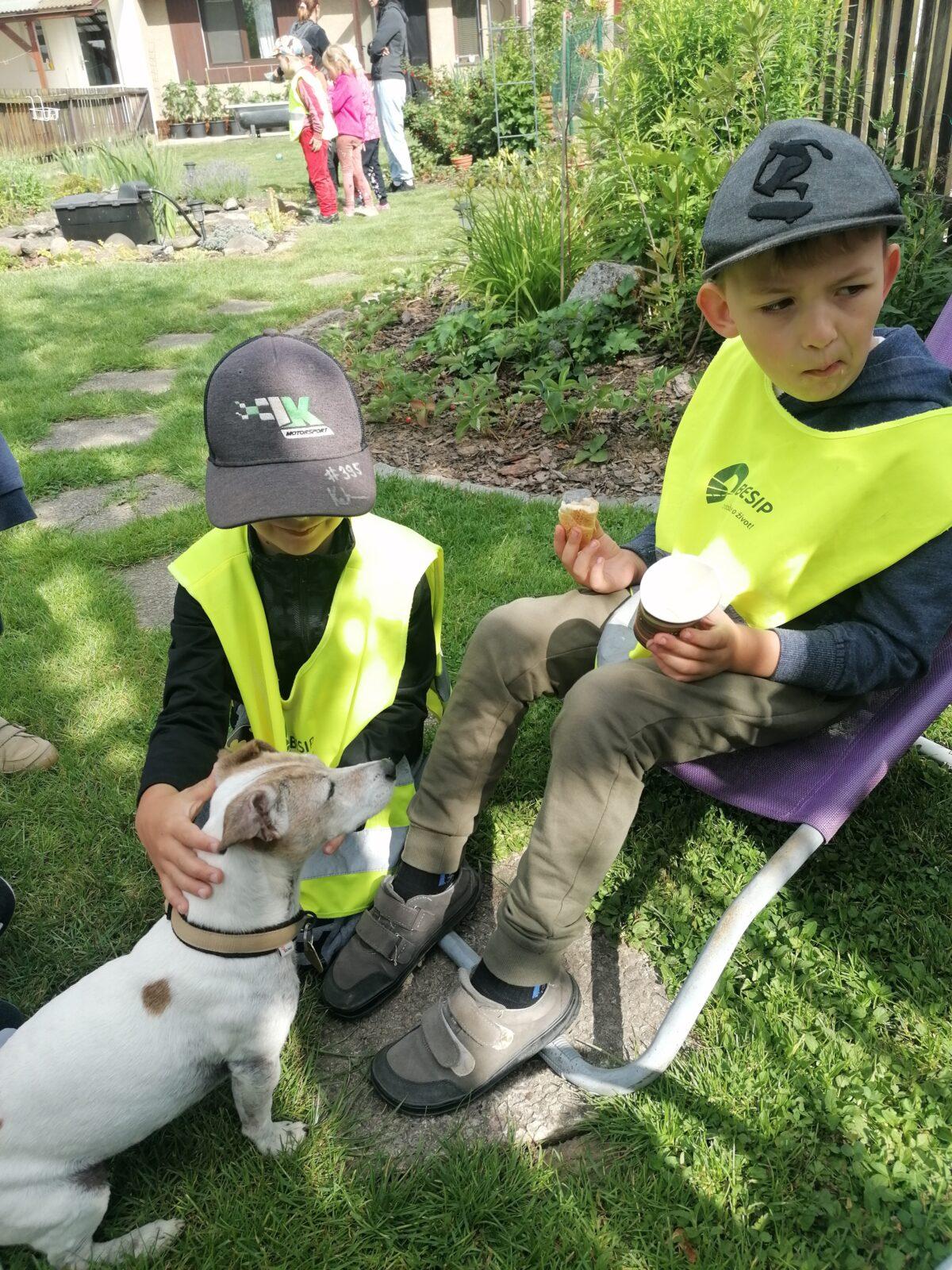 JDEME SE PODÍVAT NA PEJSKY :-) - 15