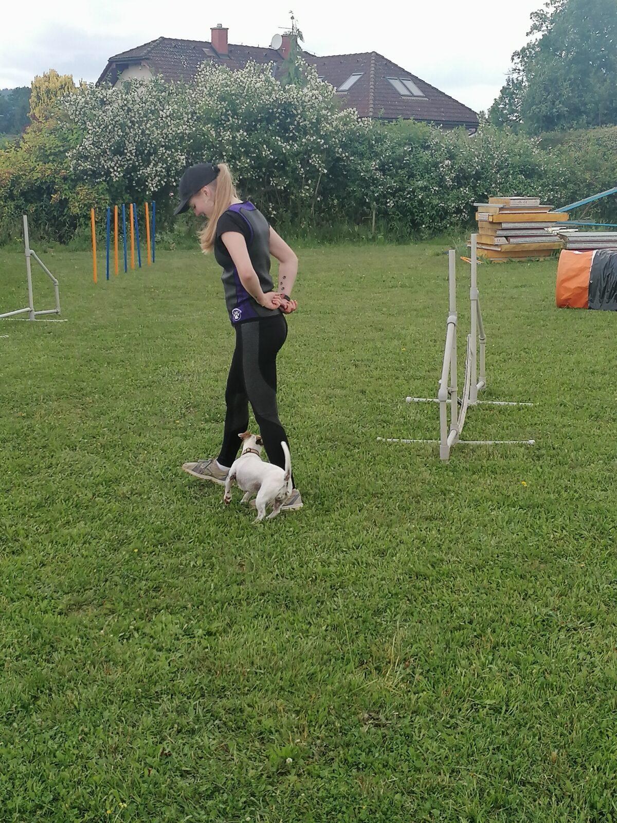 JDEME SE PODÍVAT NA PEJSKY :-) - 34