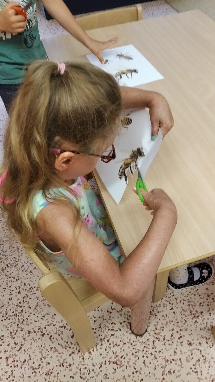 TÝDENNÍ PROJEKT 2 : ,,OD KYTIČKY K MEDU“ - 13