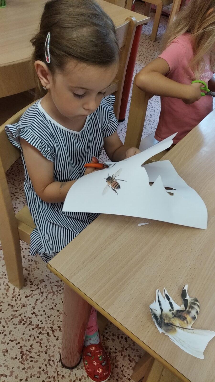 TÝDENNÍ PROJEKT 2 : ,,OD KYTIČKY K MEDU“ - 20