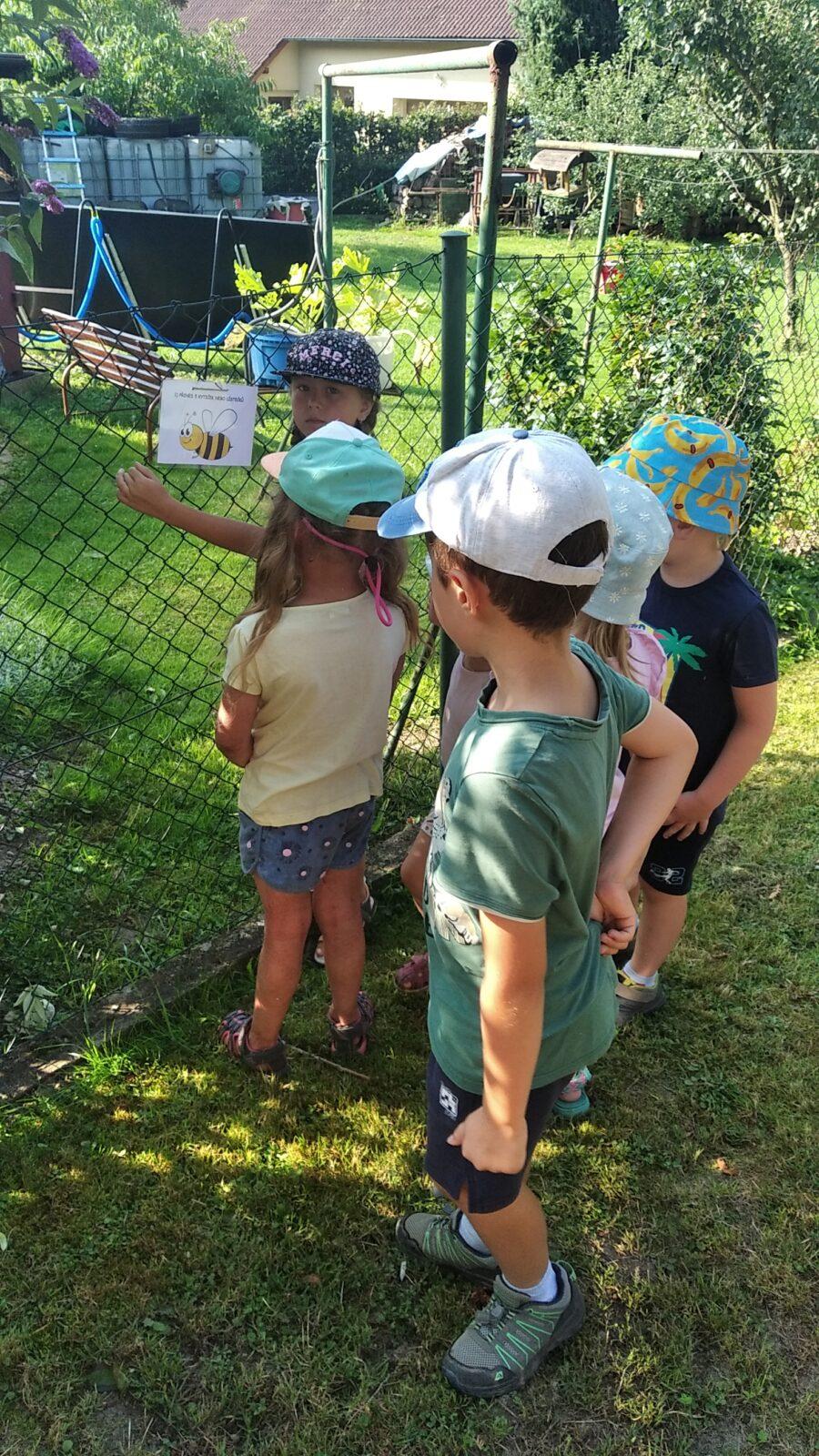 TÝDENNÍ PROJEKT 2 : ,,OD KYTIČKY K MEDU“ - 25