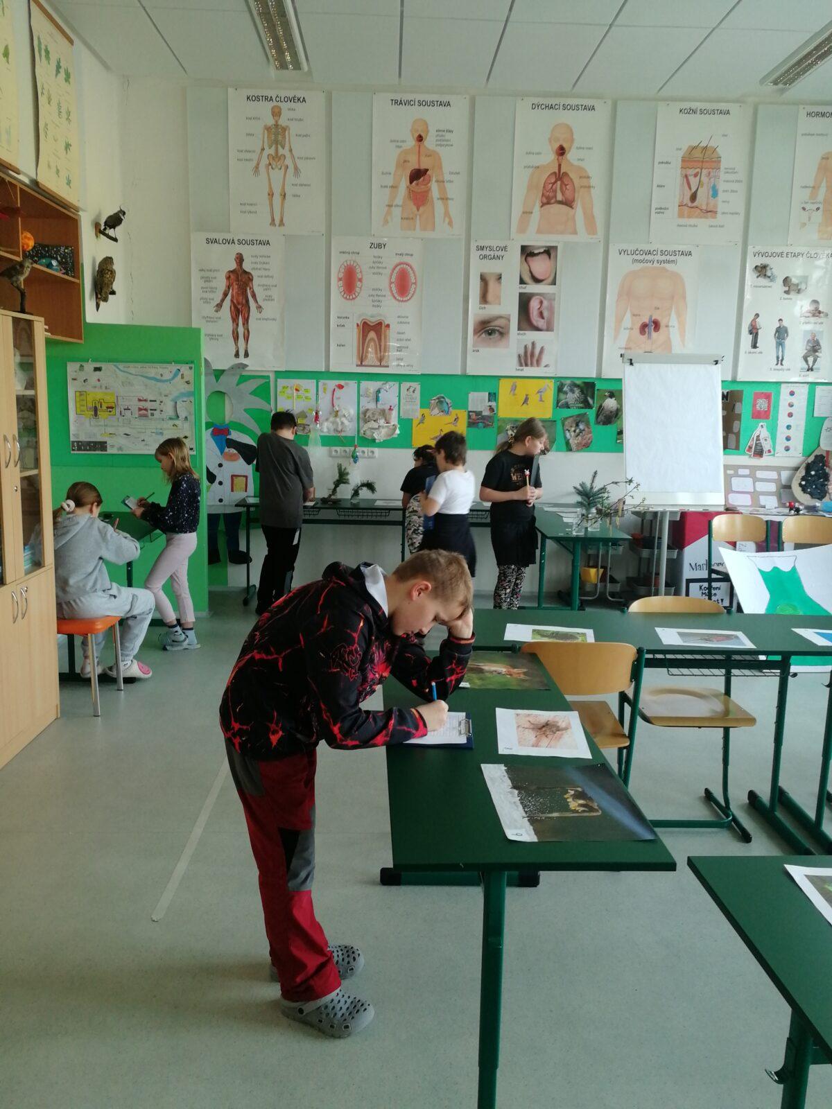 Poznávání přírodnin a minerálů na I.st. - 1