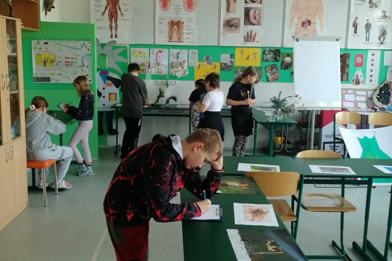 Poznávání přírodnin a minerálů na I.st.