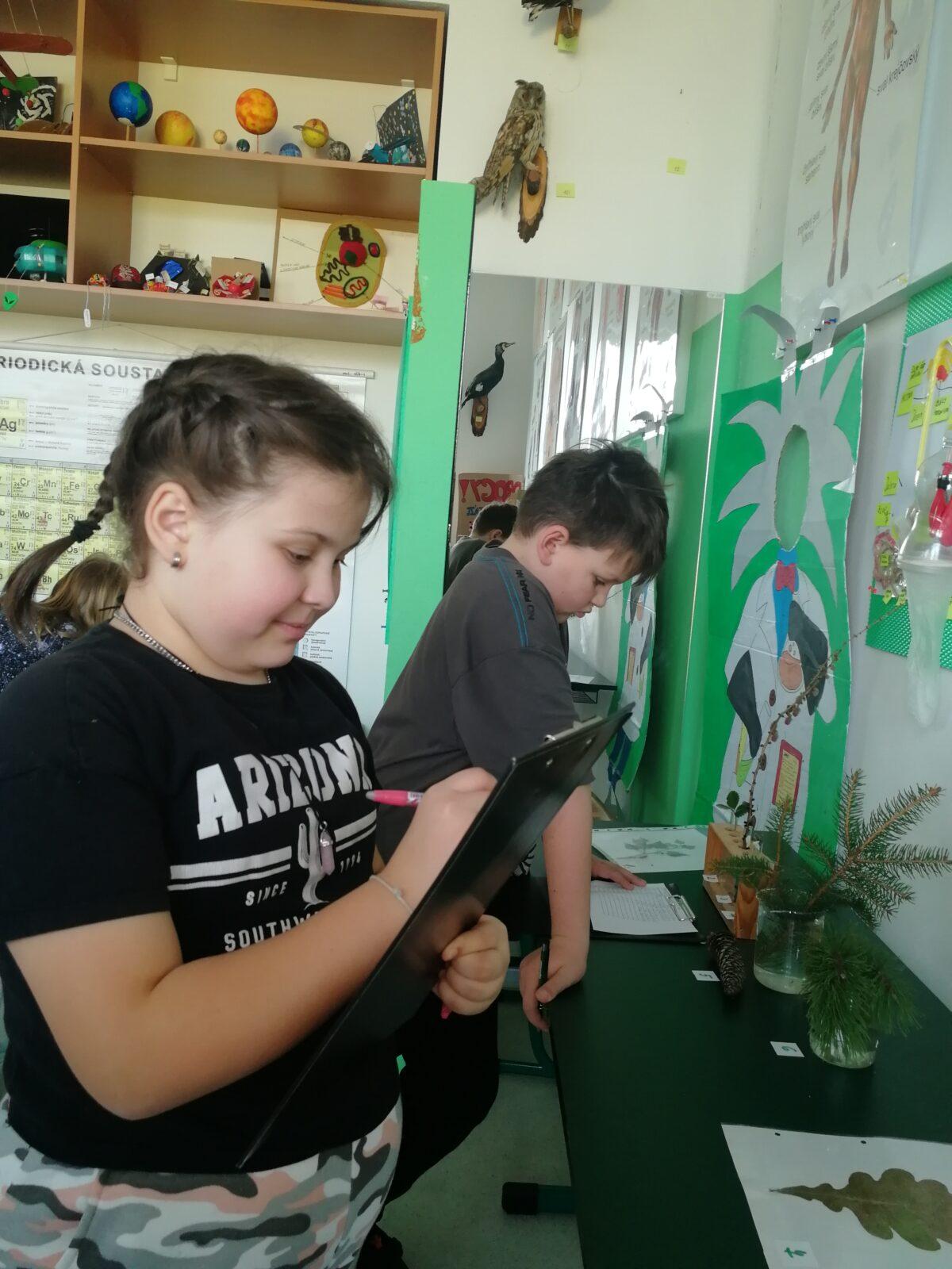 Poznávání přírodnin a minerálů na I.st. - 3