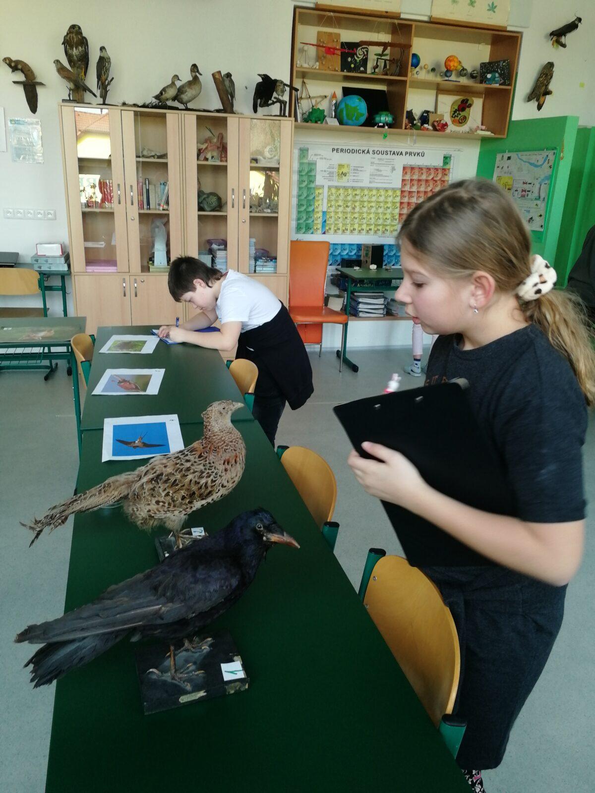 Poznávání přírodnin a minerálů na I.st. - 4