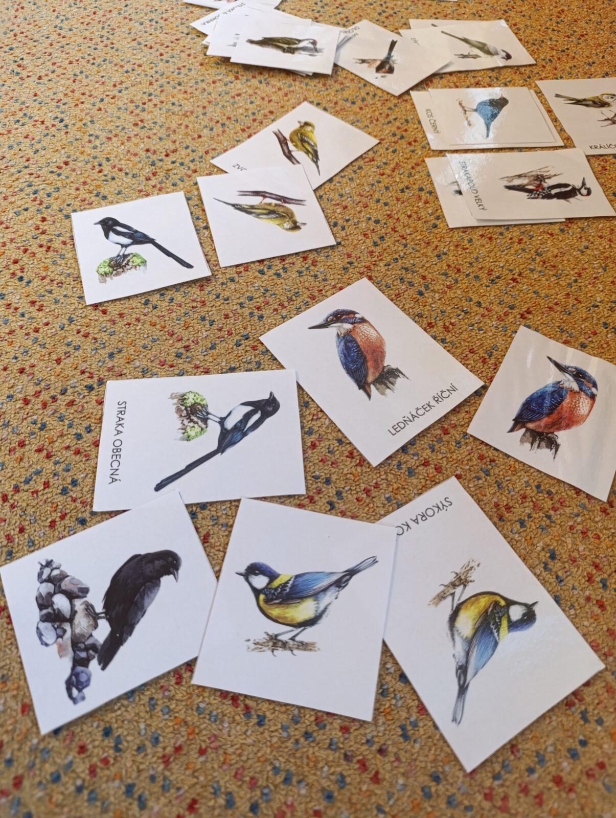 vzdělávací program v mš „ptáci“ - 23