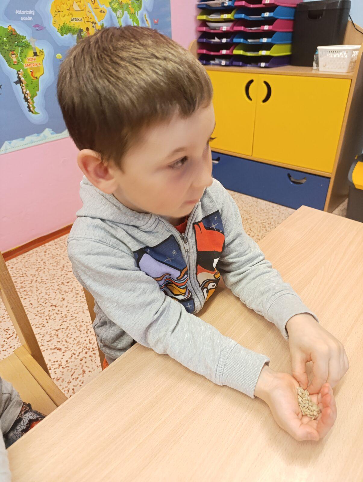 vzdělávací program v mš „ptáci“ - 24