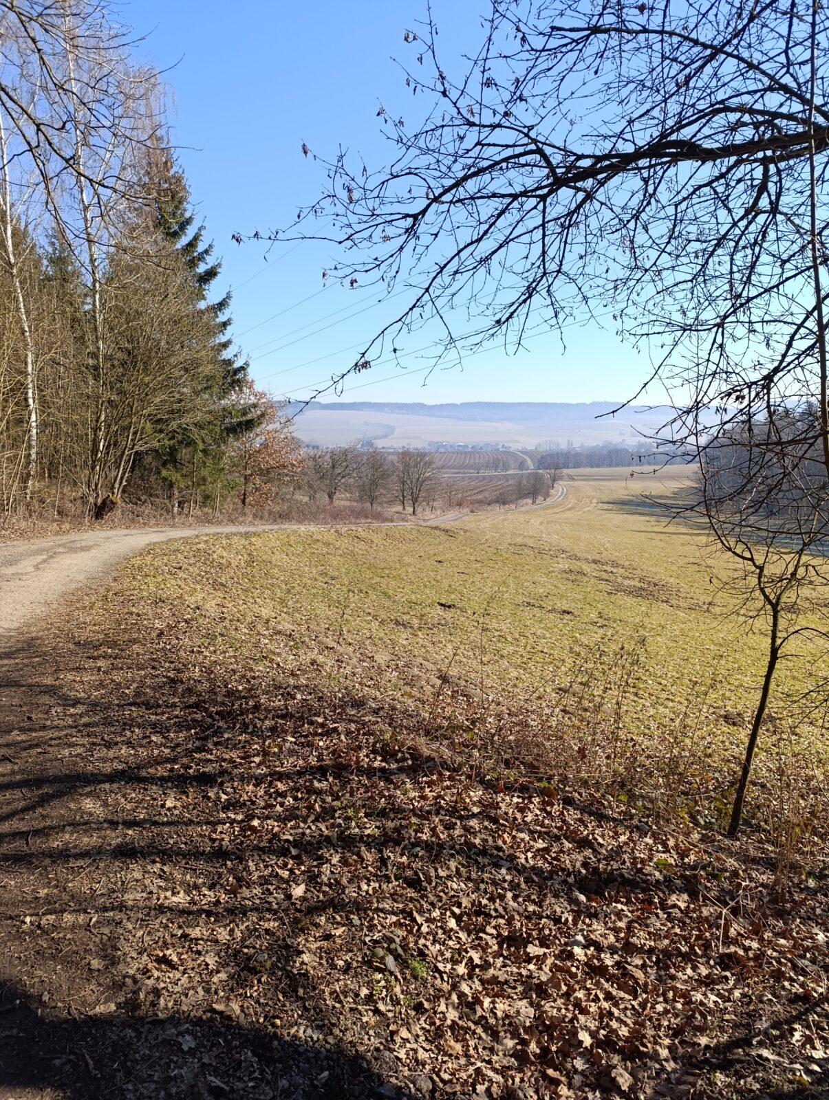broučci a sovičky: „cestou necestou...“ - 4