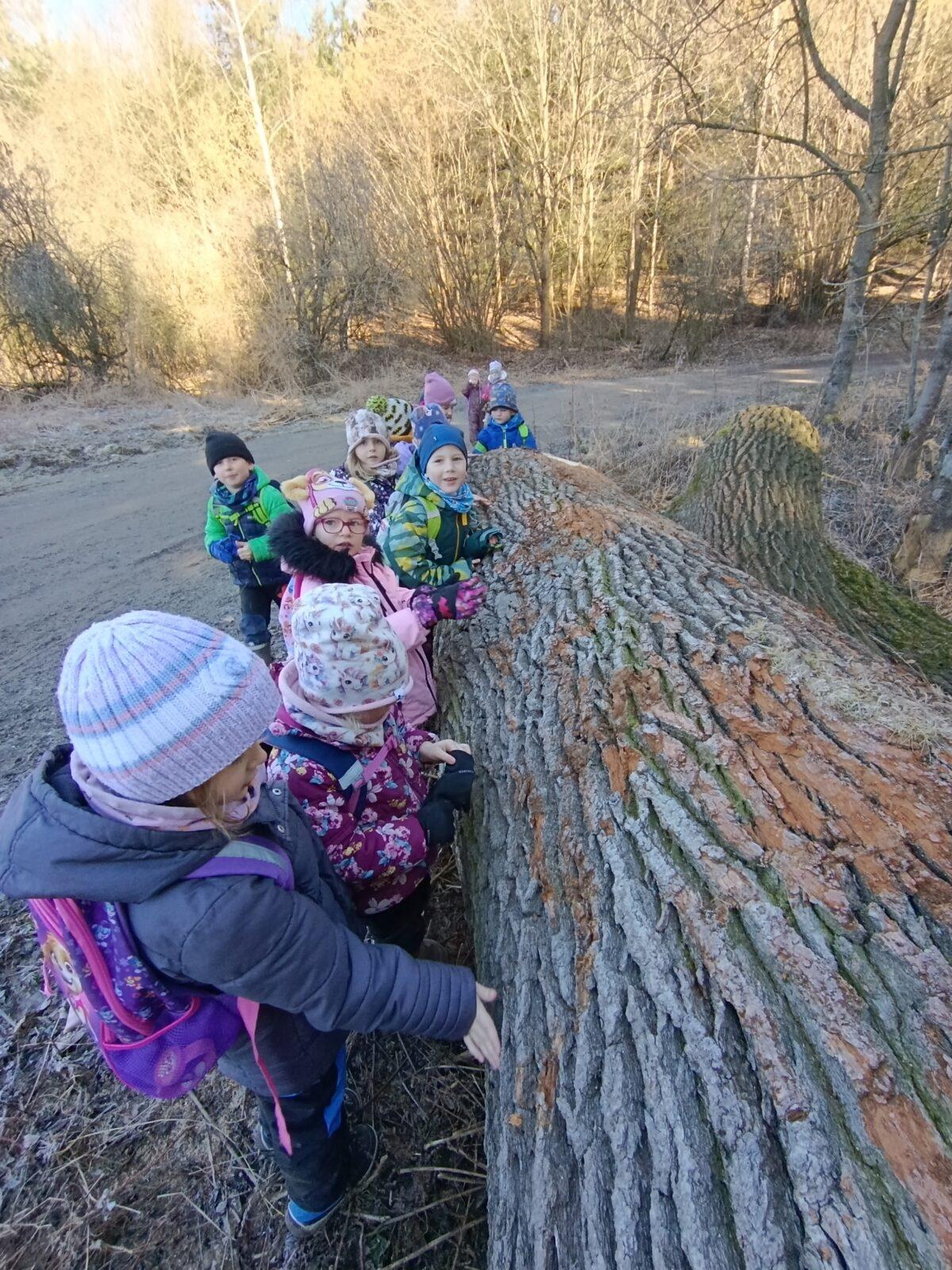 broučci a sovičky: „cestou necestou...“ - 49