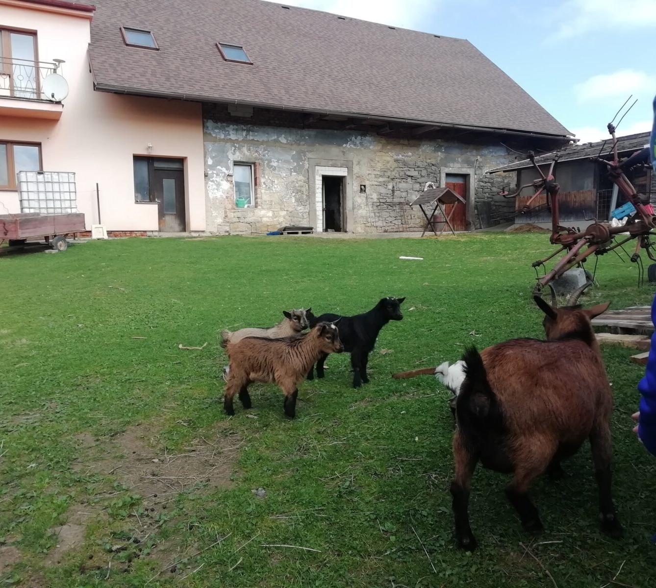 Broučci - Malované vajíčko - 26