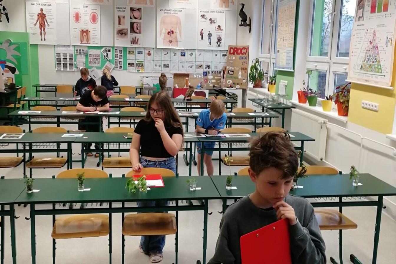 Poznávání přírodnin a minerálů