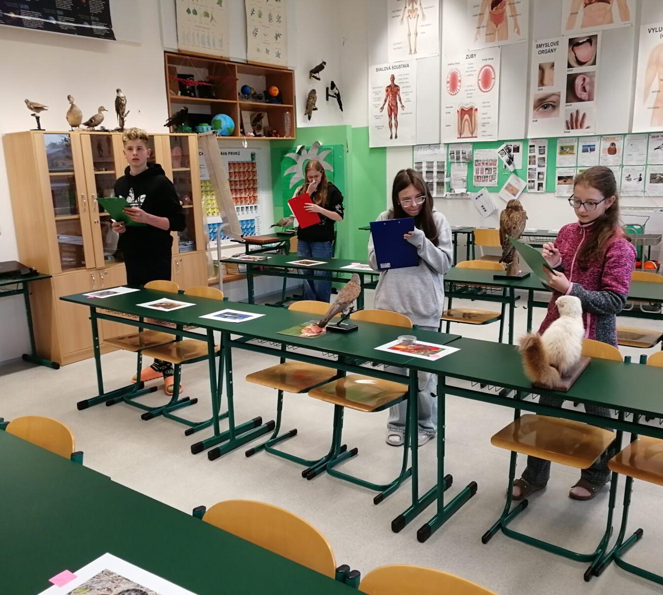 Poznávání přírodnin a minerálů - 7