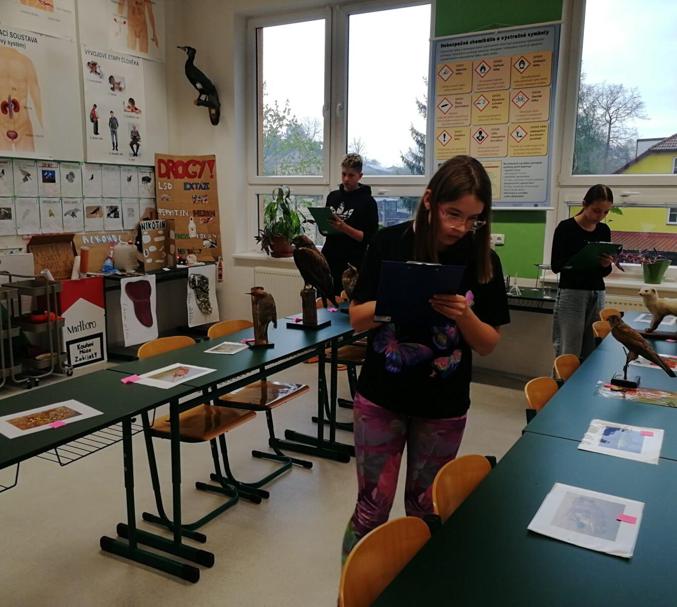 Poznávání přírodnin a minerálů - 8