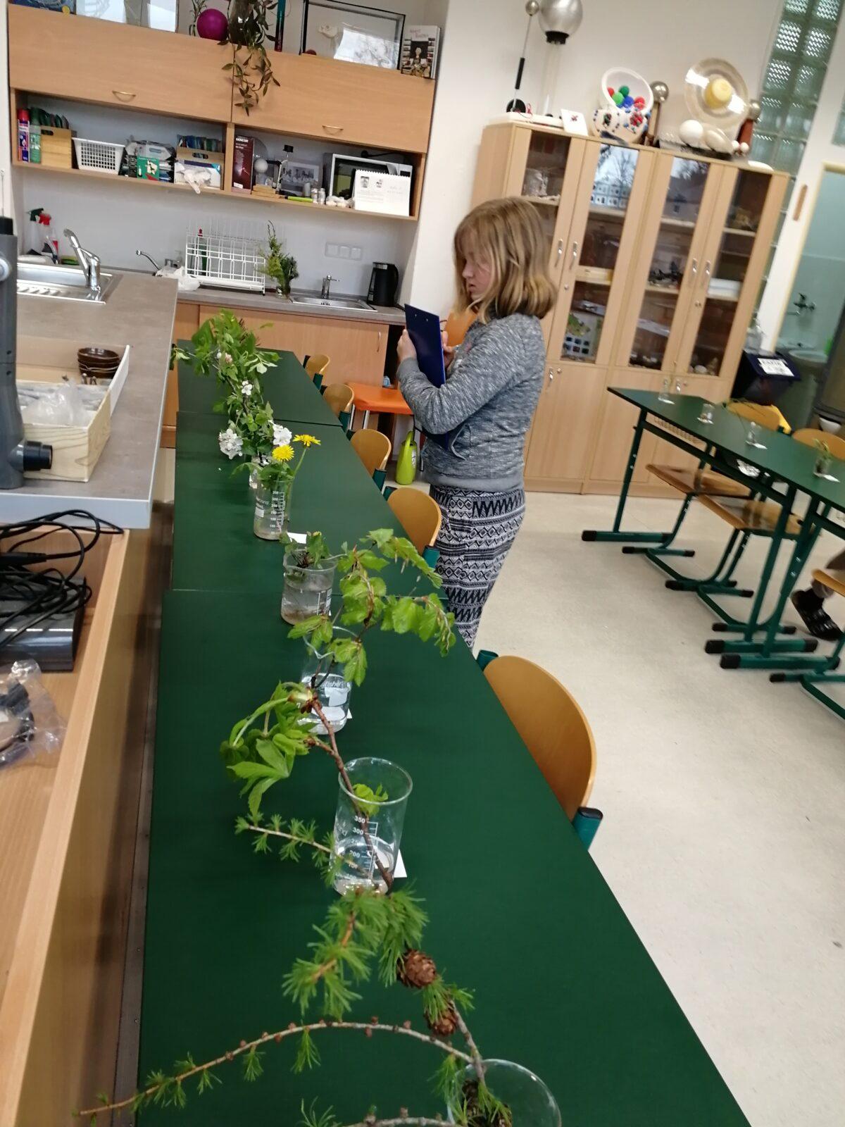 Poznávání přírodnin a minerálů - 11