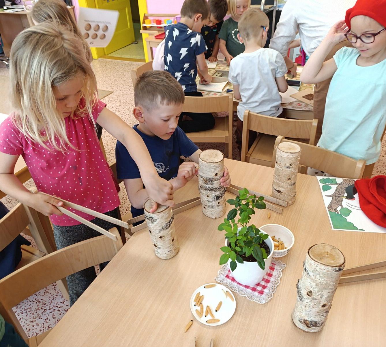 vzdělávací program v mš - ptáci - 20