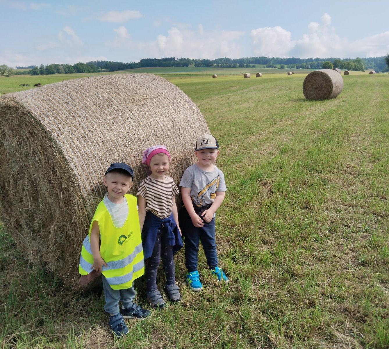 BROUČCI - ČÍM BUDU AŽ VYROSTU - 52