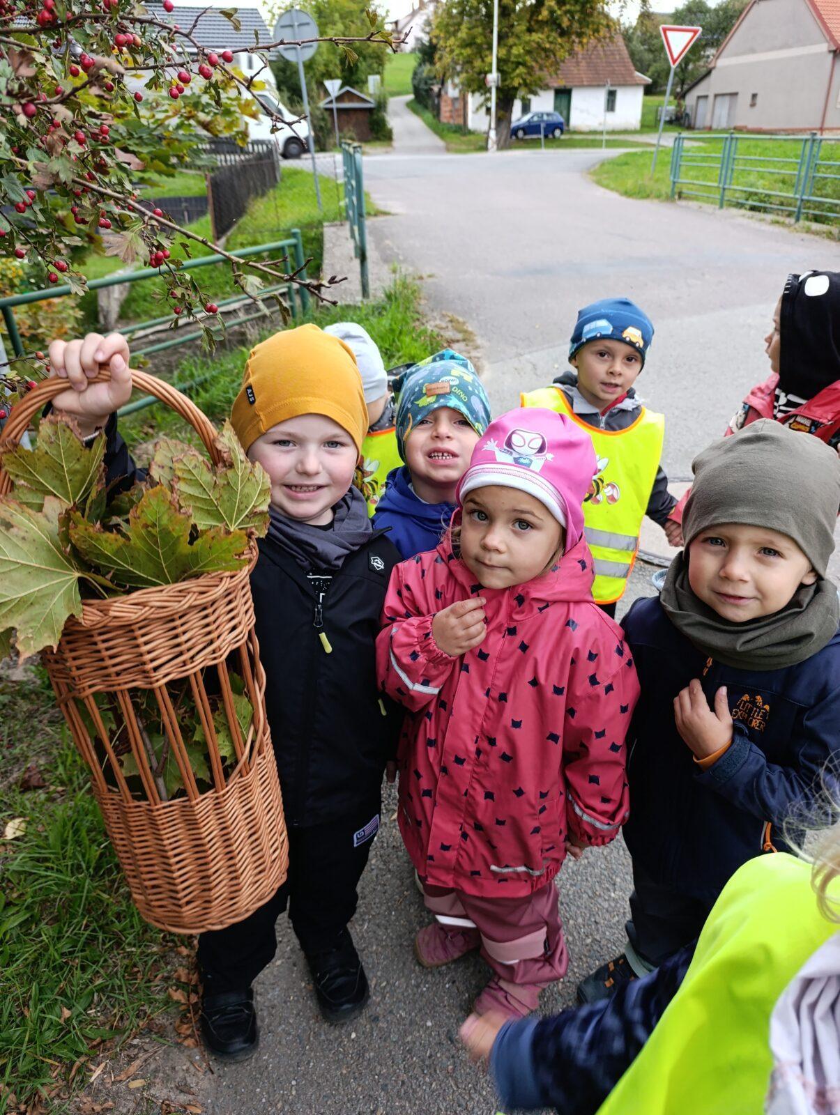 Broučci: poznáváme les - 21