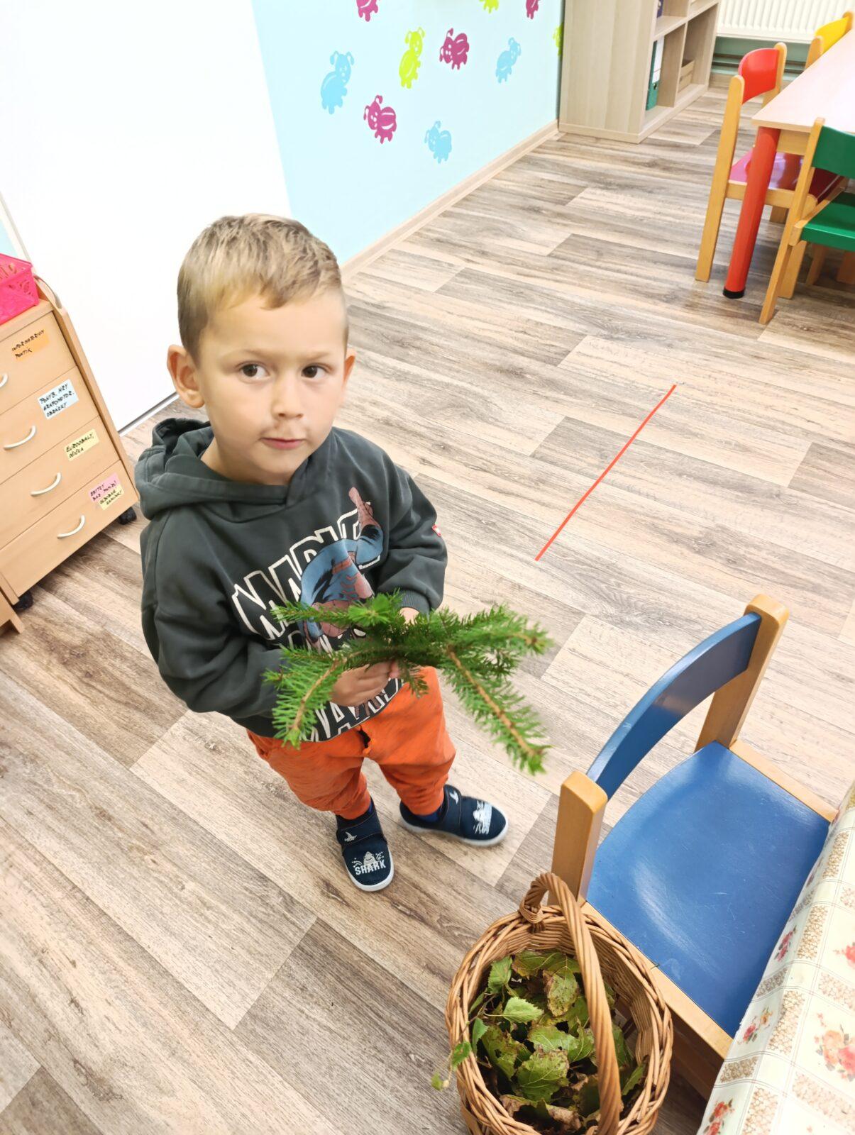 Broučci: poznáváme les - 23