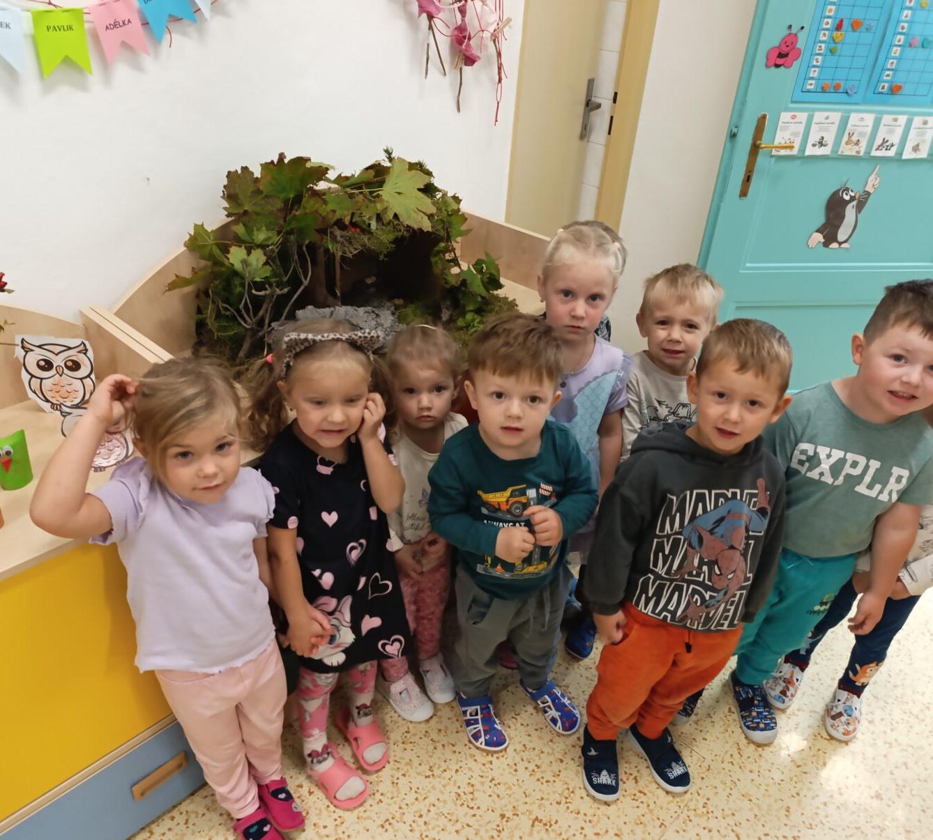 Broučci: poznáváme les - 33