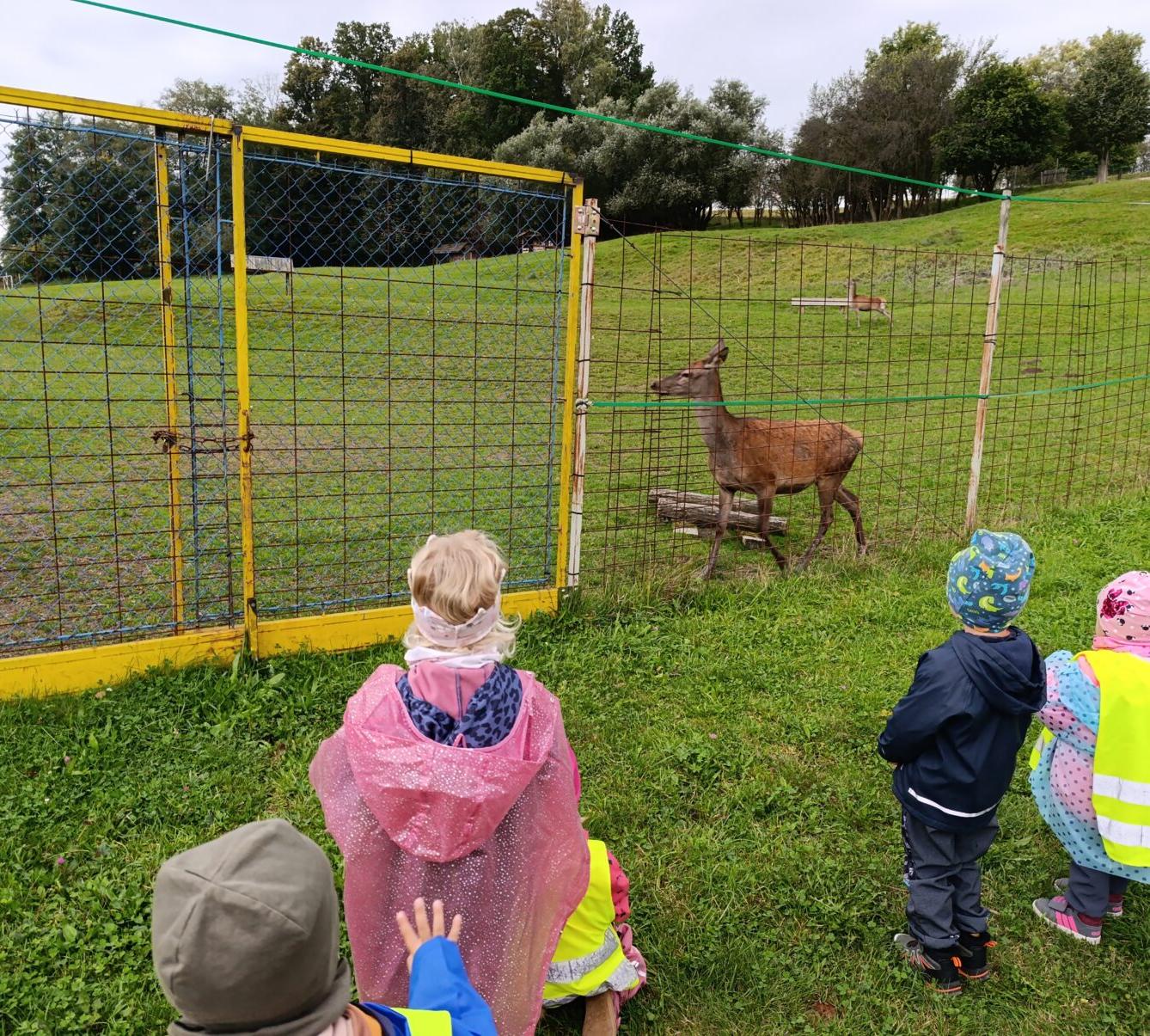 Broučci: poznáváme les - 51