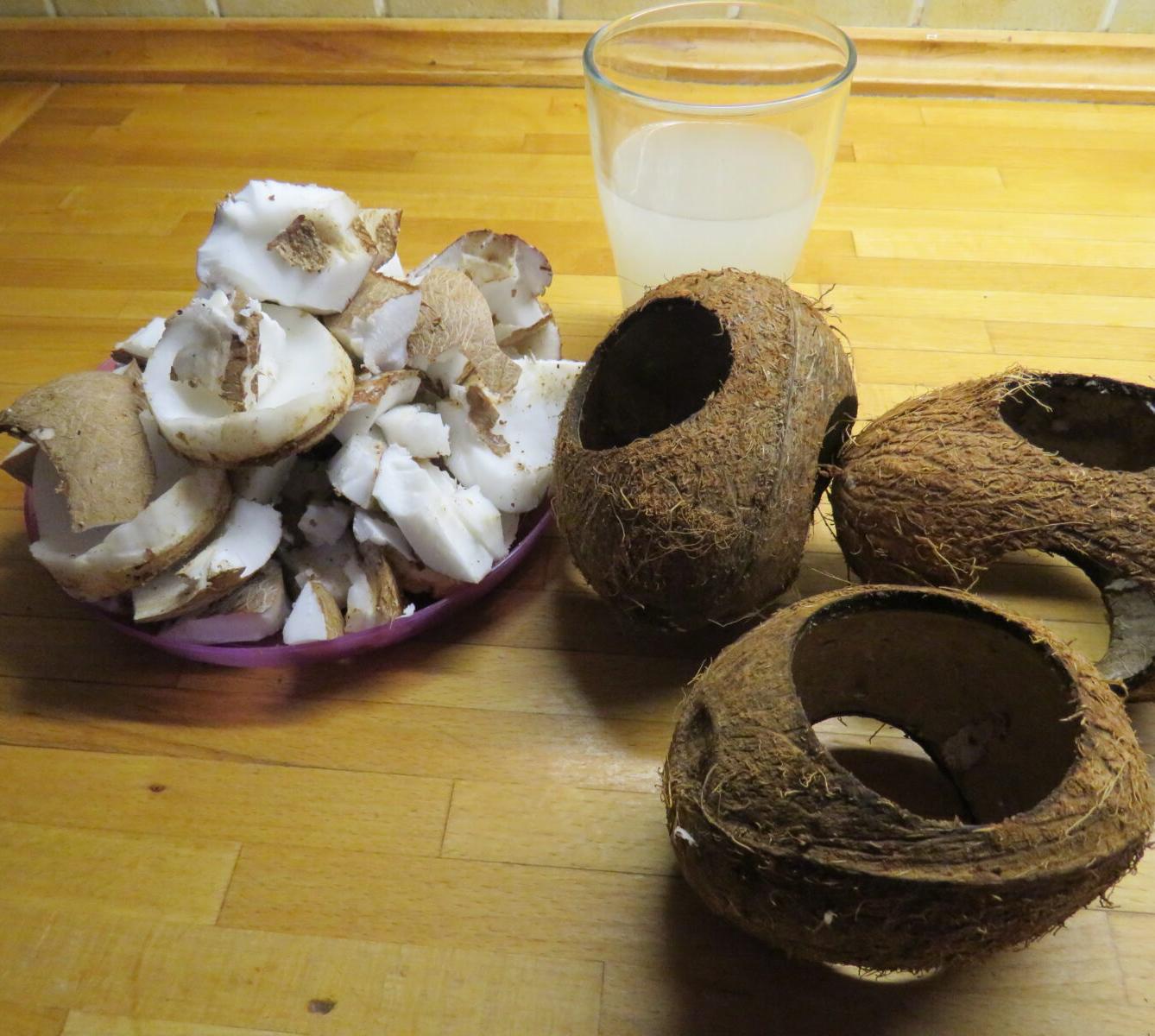 Krmítka pro ptáčky :-) - 55