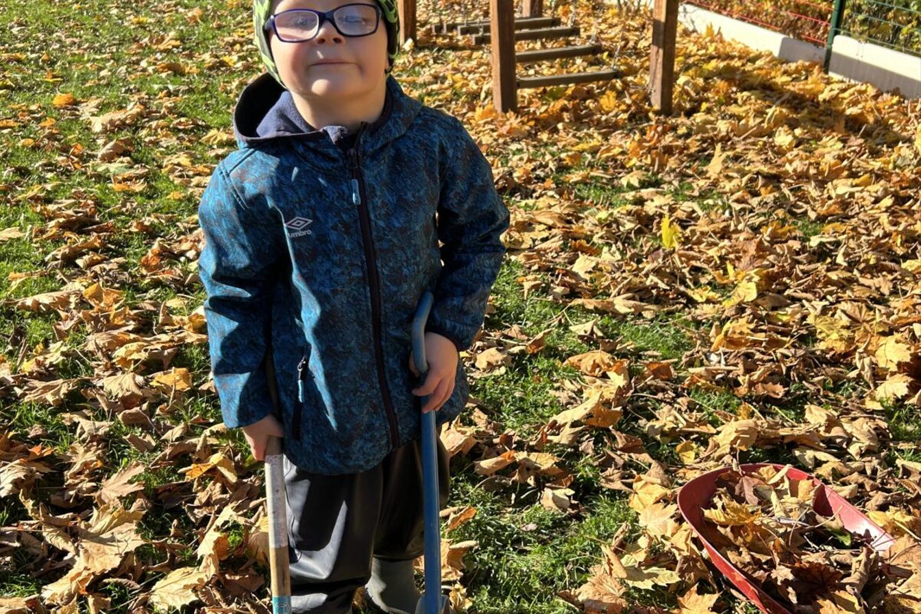 SOVIČKY: LISTÍ ŽLOUTNE POLETUJE