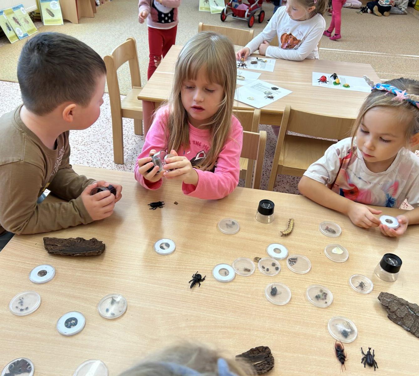 VZDĚLÁVACÍ PROGRAM - USPÁVÁNÍ BROUČKŮ - 27