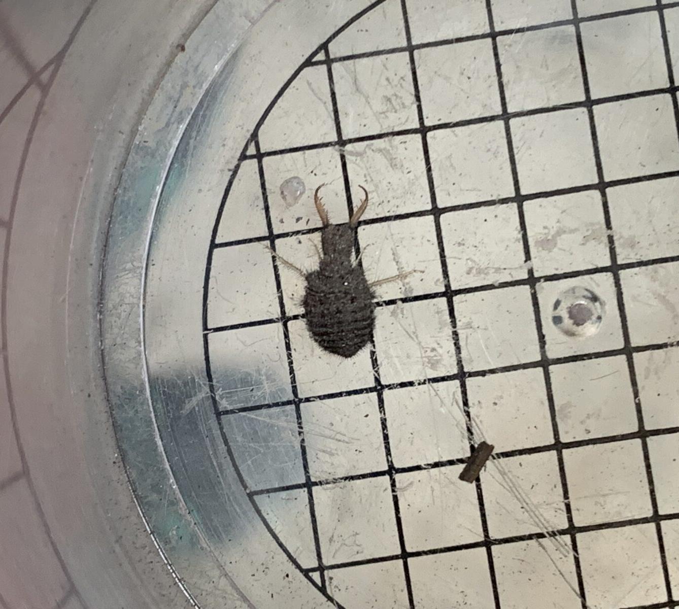 Adaptační kurz- den druhý - 11