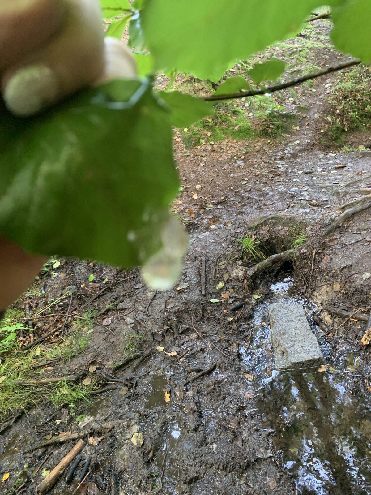 Adaptační kurz- den třetí - 16