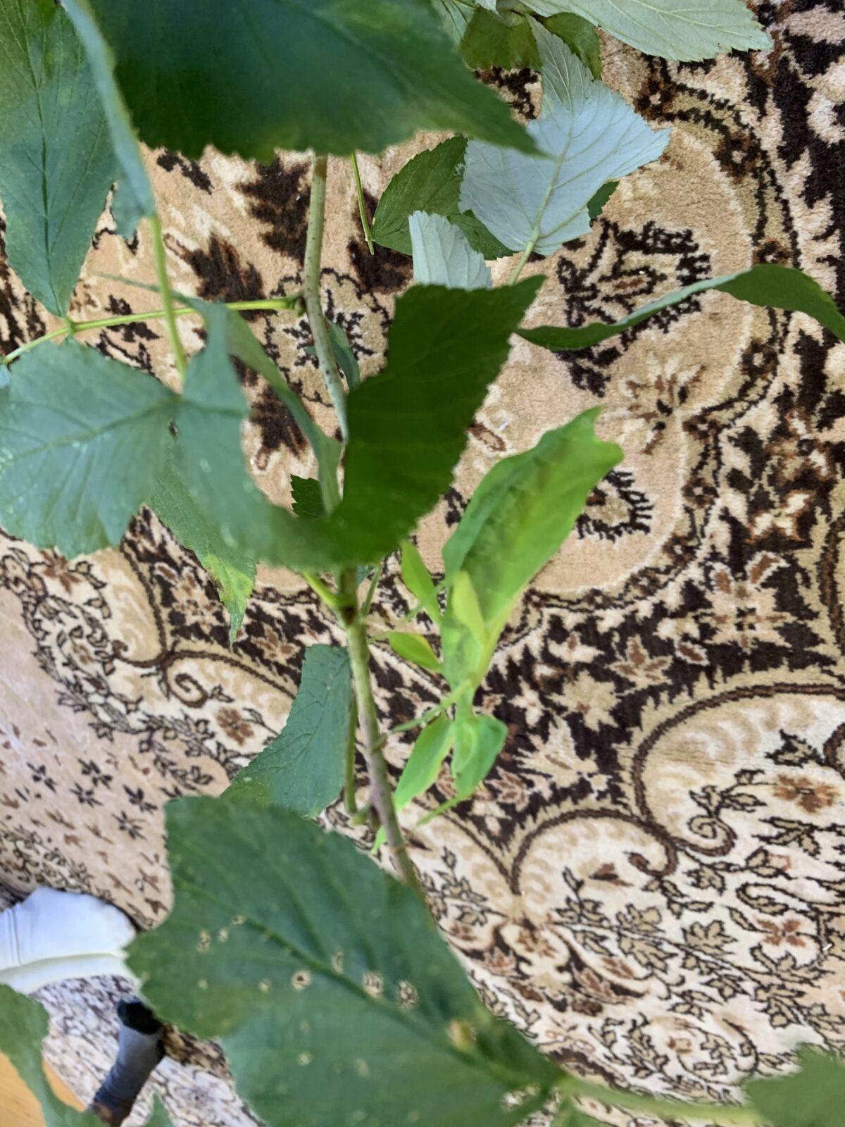 Adaptační kurz - den poslední - 6