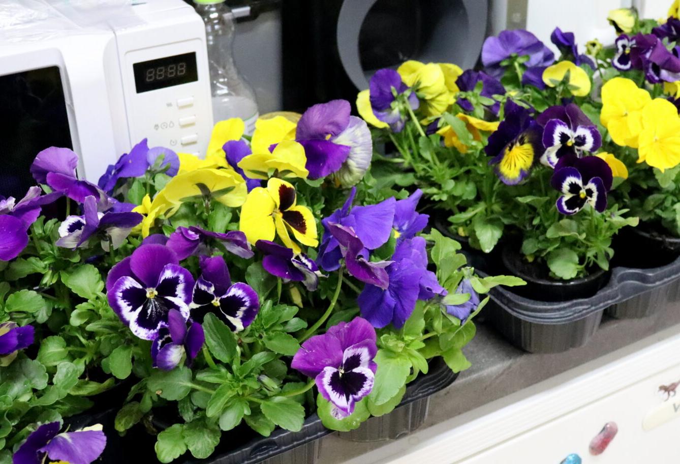 Zápis do 1. třídy - 4