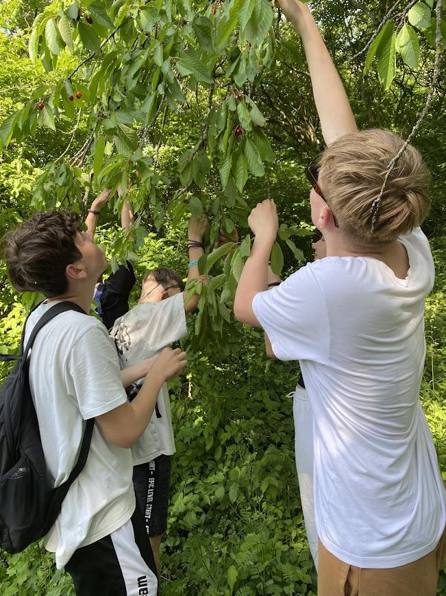 Školní výlet 9. B - 12