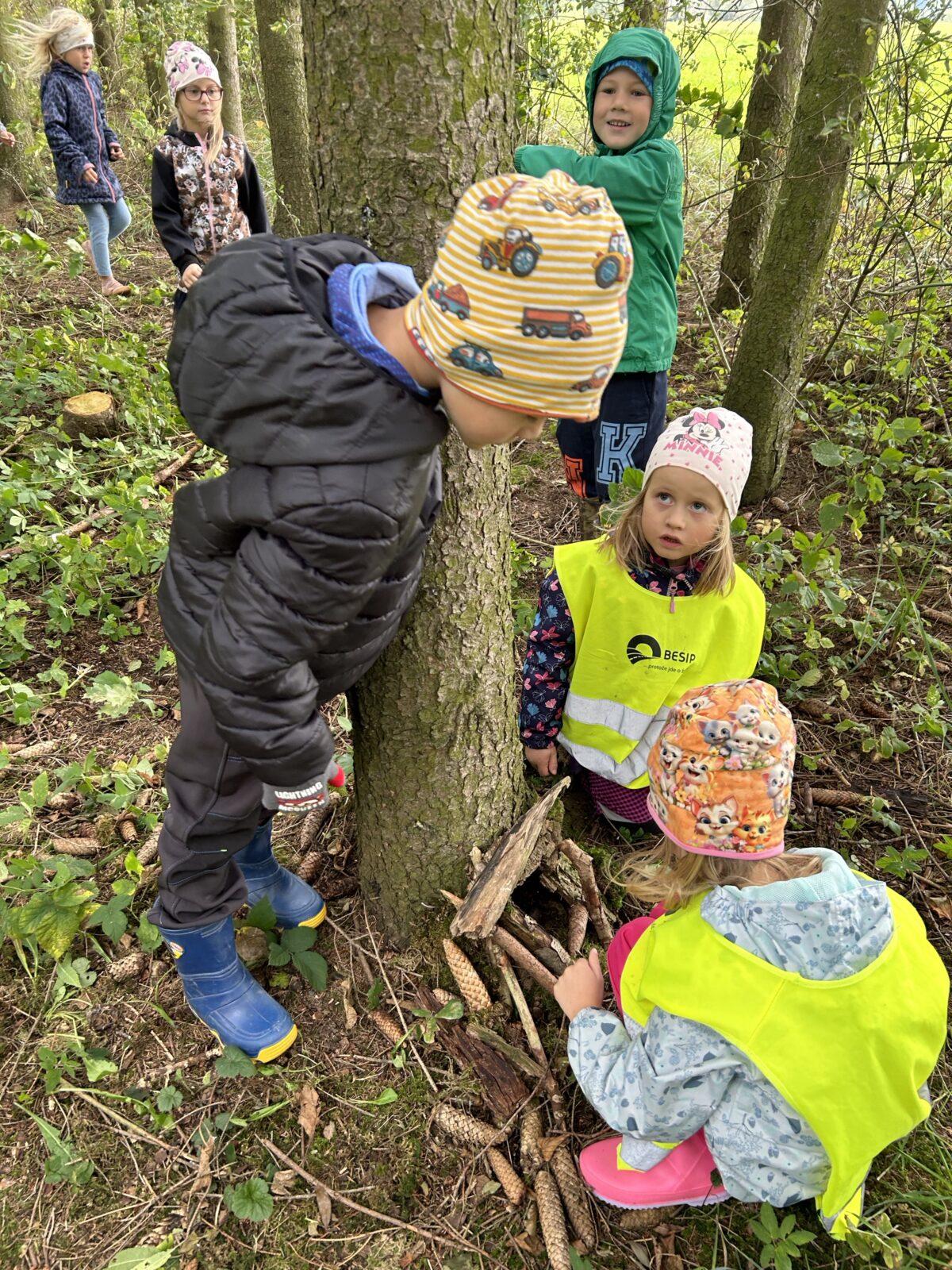 SOVIČKY: LESNÍ HRÁTKY SE ZVÍŘÁTKY - 6