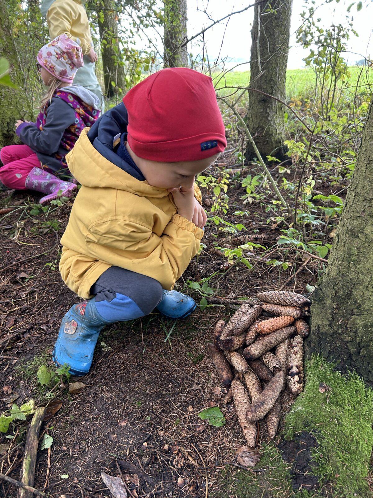 SOVIČKY: LESNÍ HRÁTKY SE ZVÍŘÁTKY - 15