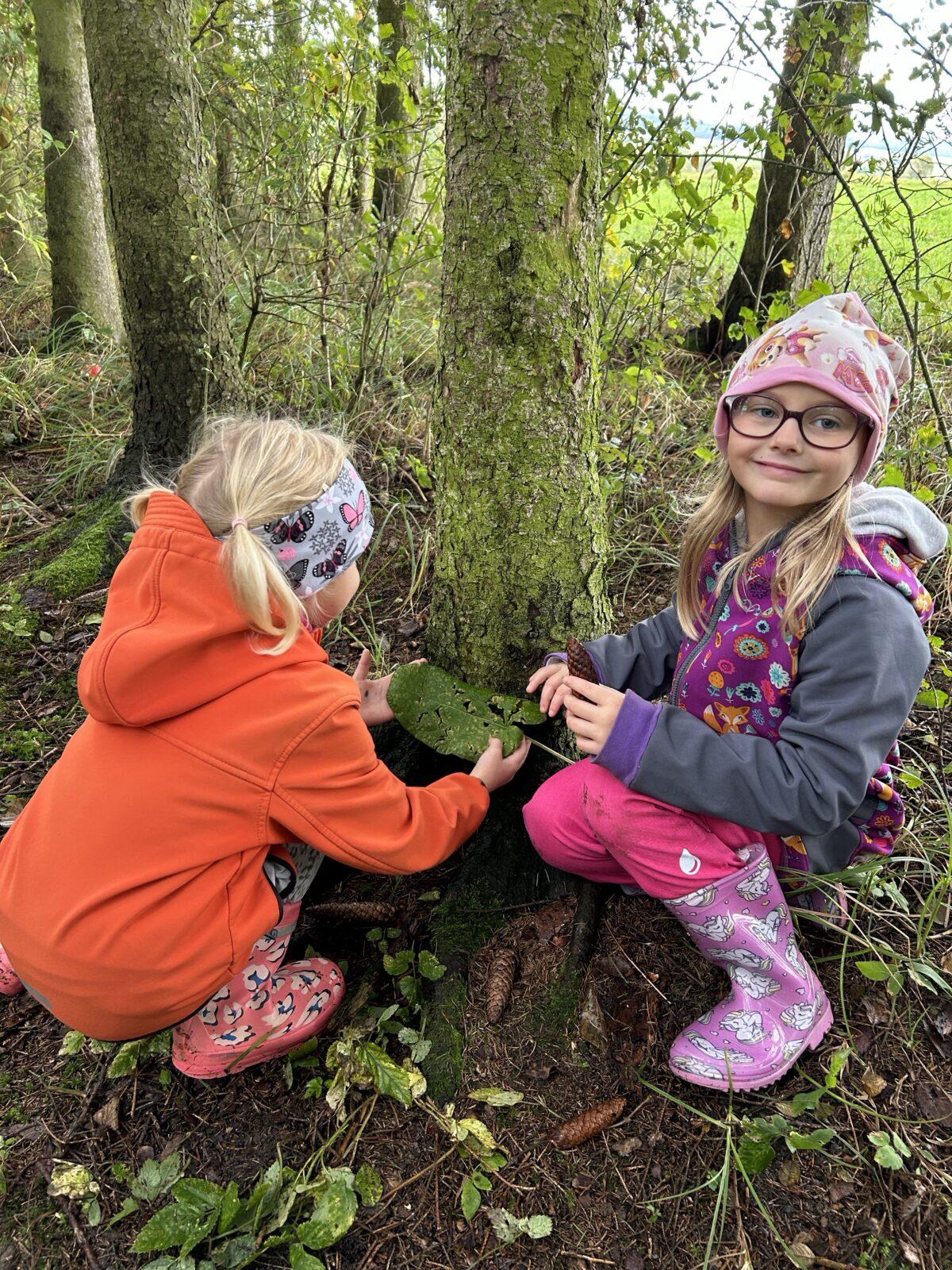 SOVIČKY: LESNÍ HRÁTKY SE ZVÍŘÁTKY - 16