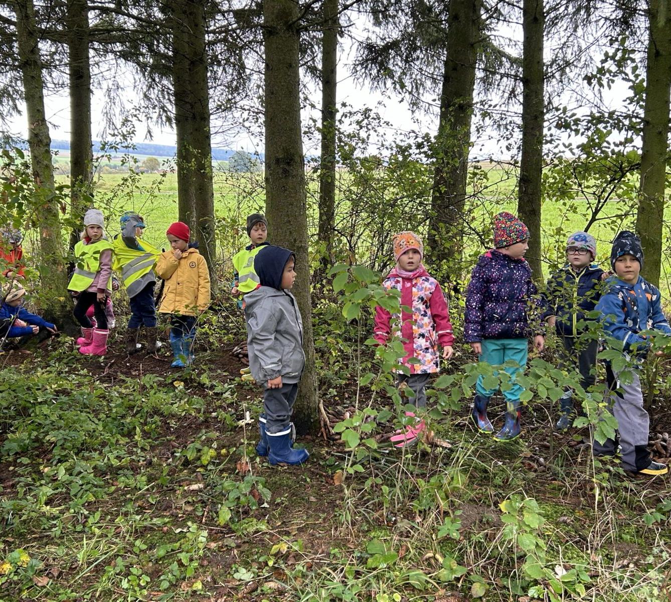 SOVIČKY: LESNÍ HRÁTKY SE ZVÍŘÁTKY - 18