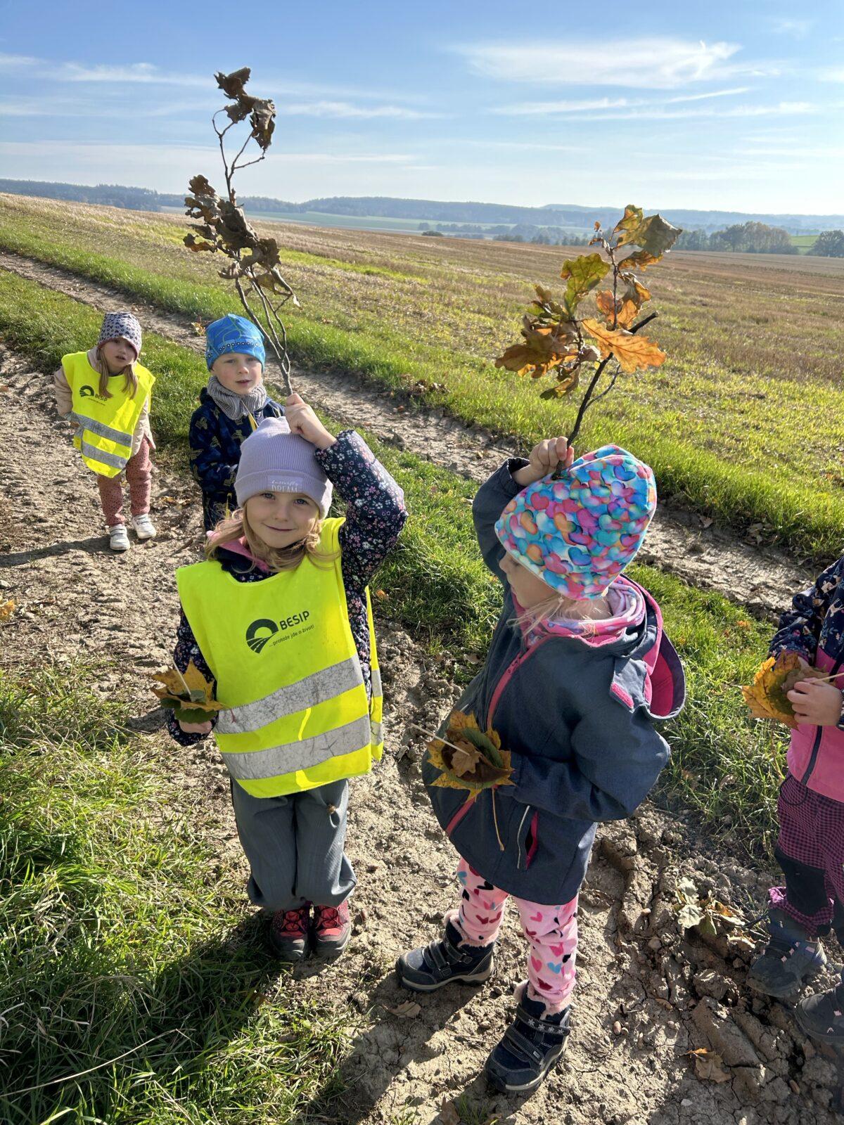 SOVIČKY: LISTÍ ŽLOUTNE, POLETUJE - 11
