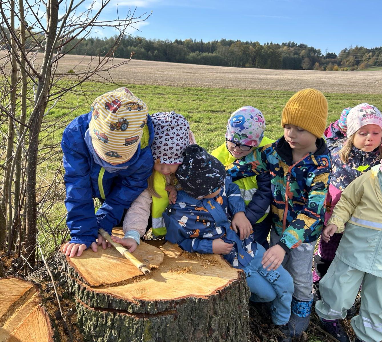 SOVIČKY: LESNÍ HRÁTKY SE ZVÍŘÁTKY - 37