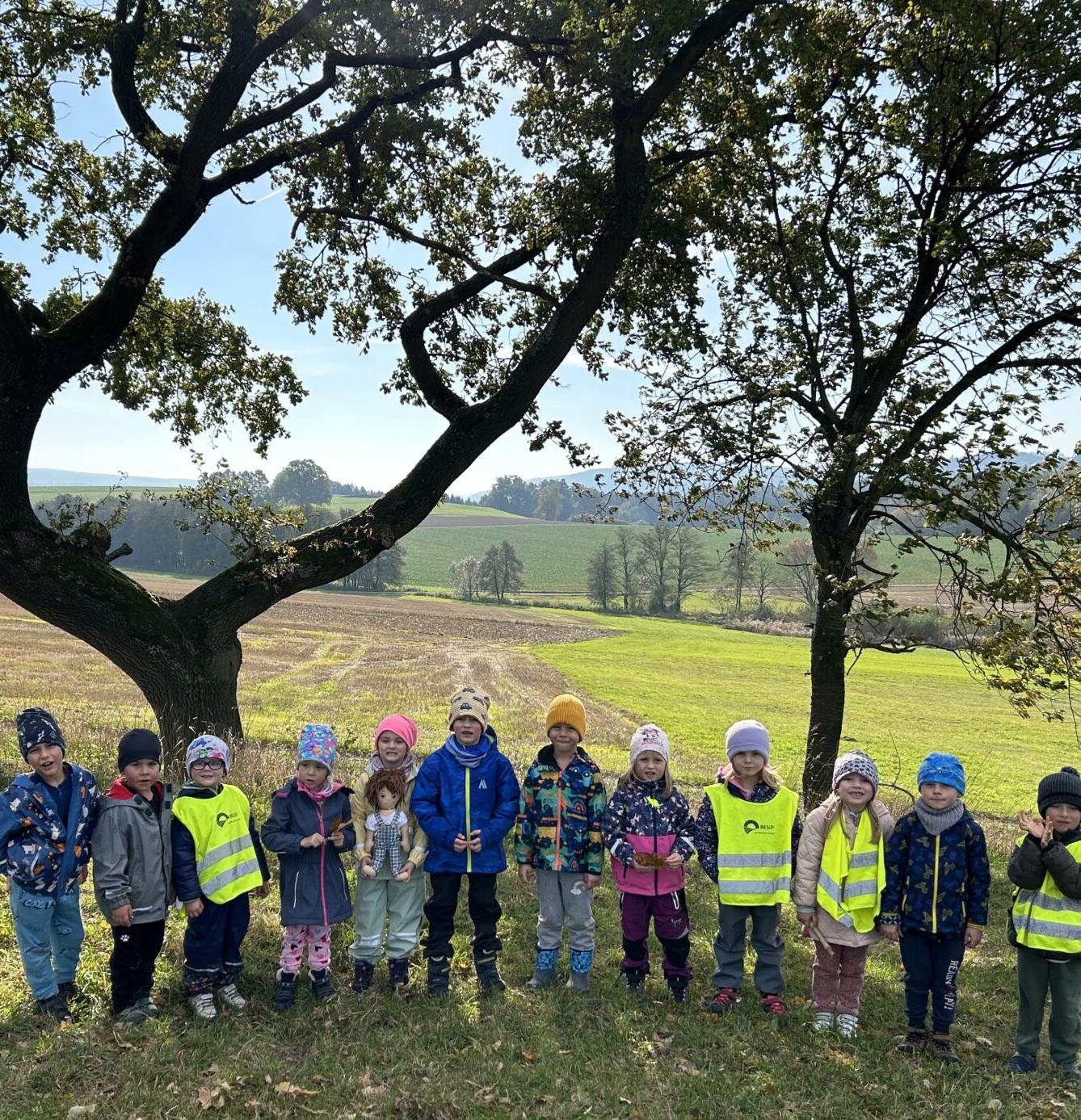 SOVIČKY: LISTÍ ŽLOUTNE, POLETUJE - 13