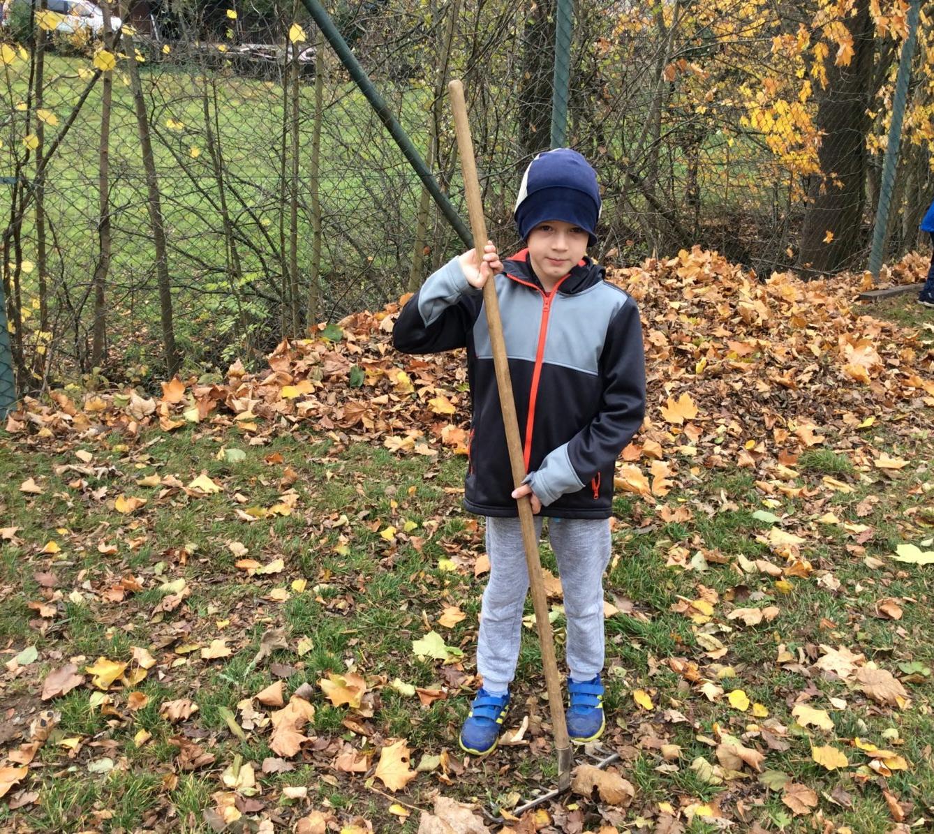 II. oddělení LISTOPAD - 11