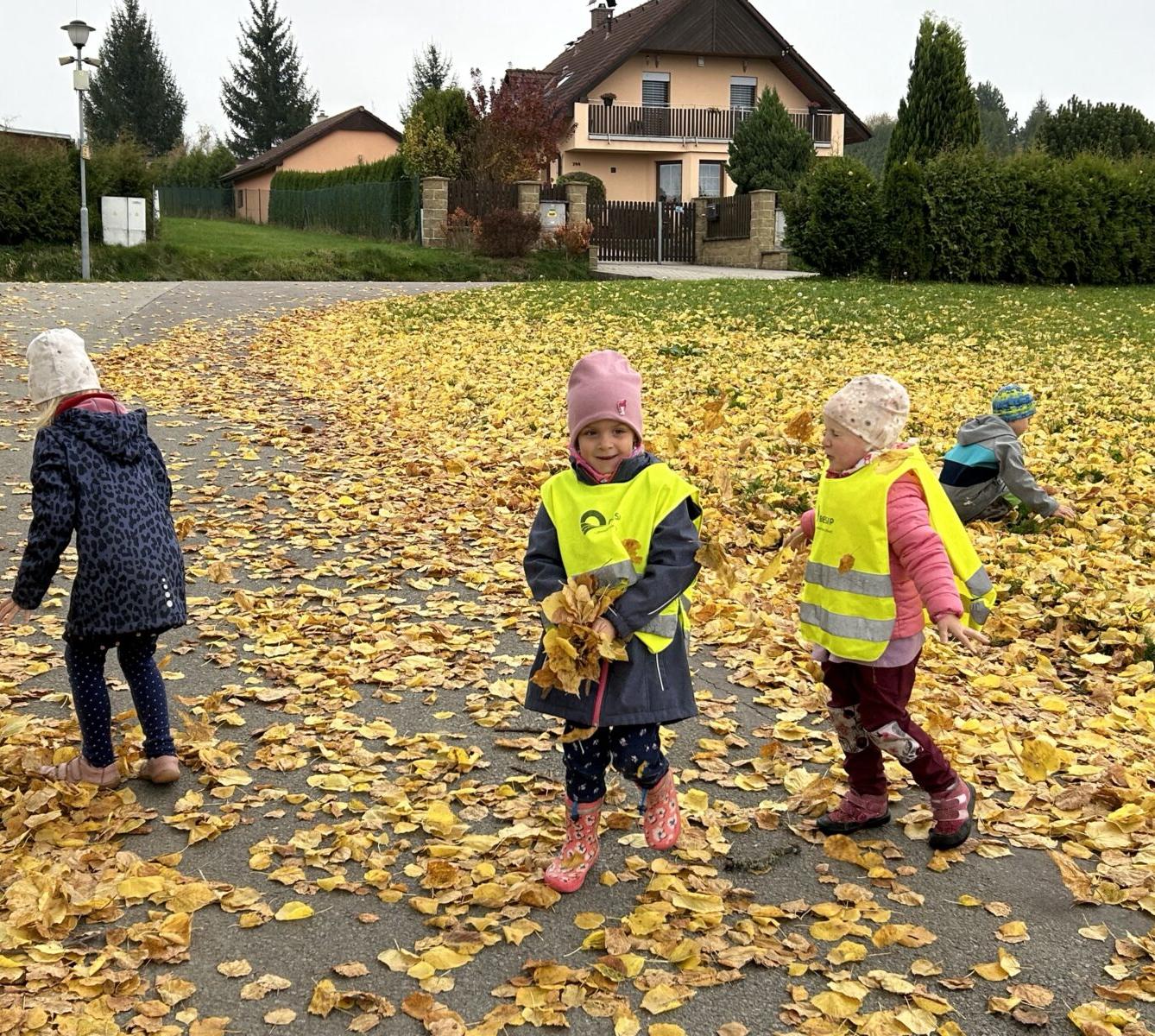 SOVIČKY: LISTÍ ŽLOUTNE, POLETUJE - 47