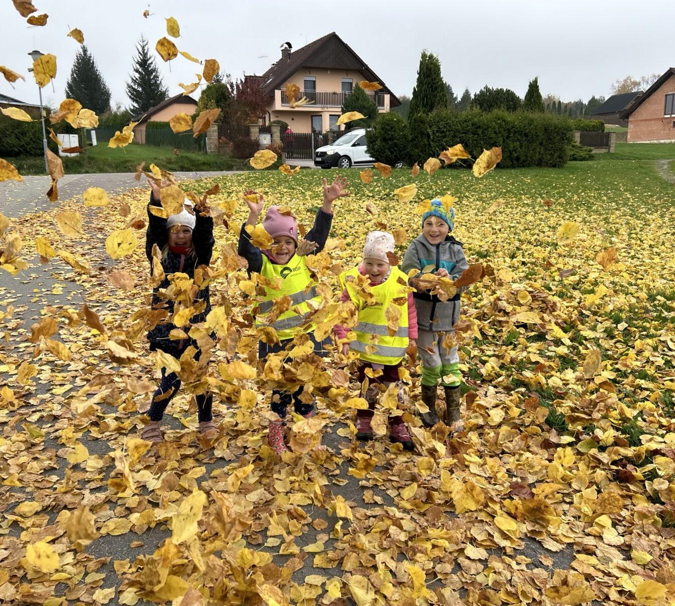 SOVIČKY: LISTÍ ŽLOUTNE, POLETUJE - 50