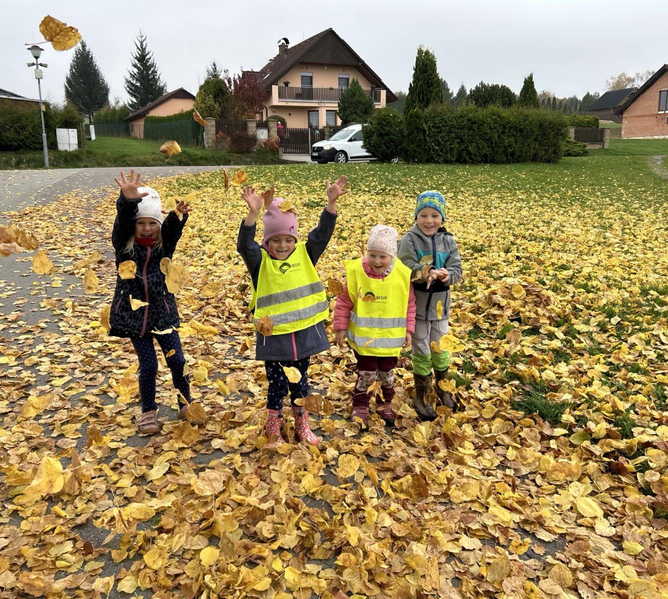 SOVIČKY: LISTÍ ŽLOUTNE, POLETUJE - 51