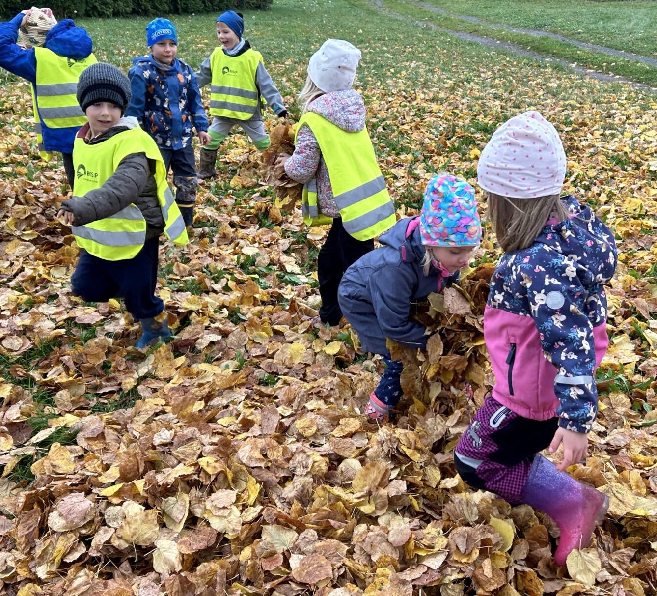 SOVIČKY: LISTÍ ŽLOUTNE, POLETUJE - 57