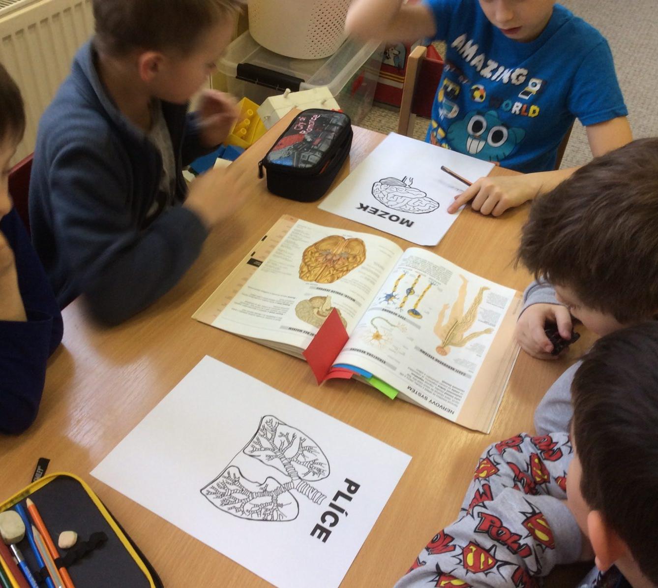 Leden I. oddělení - 12