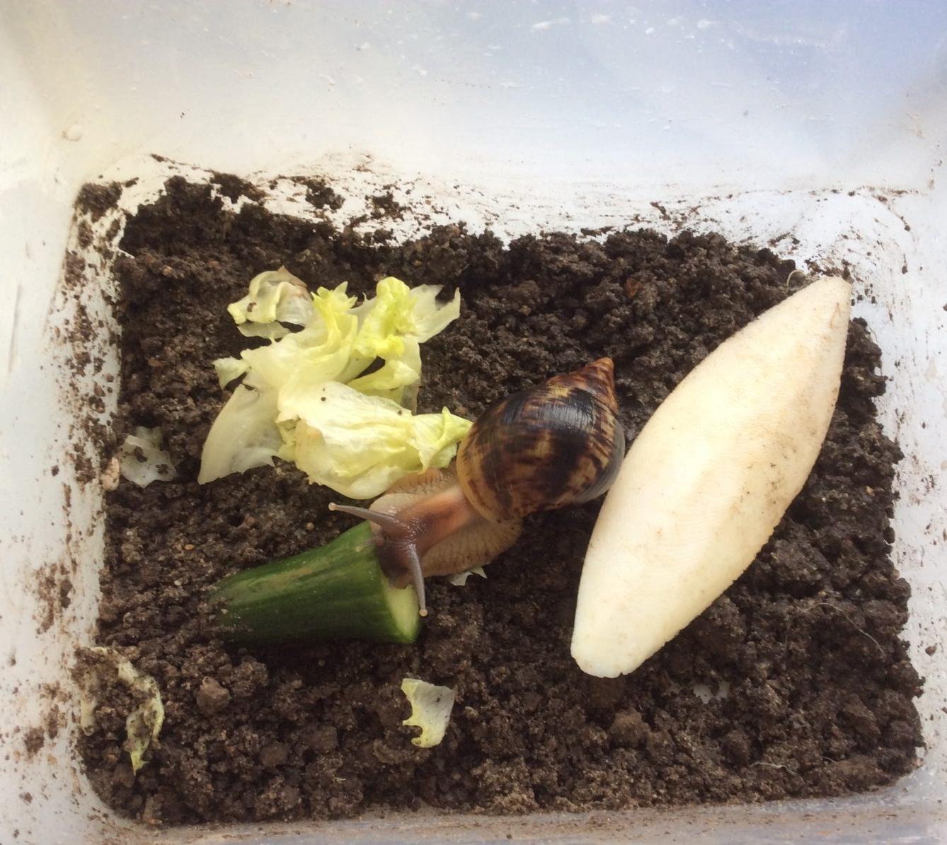 Leden I. oddělení - 14